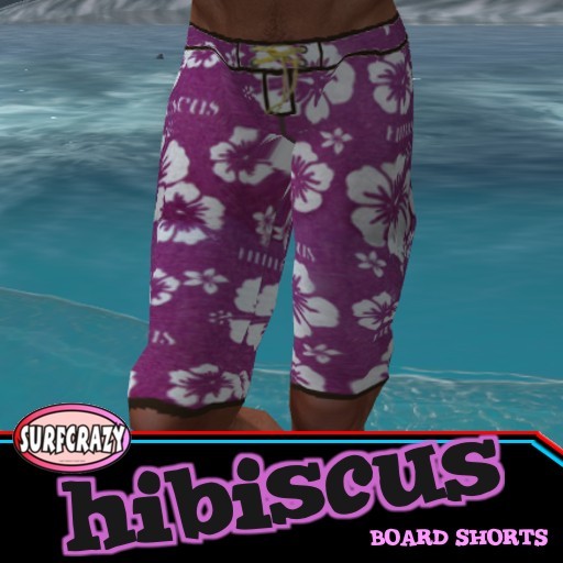 Hibiscus Board Shorts and Shirt, great gift