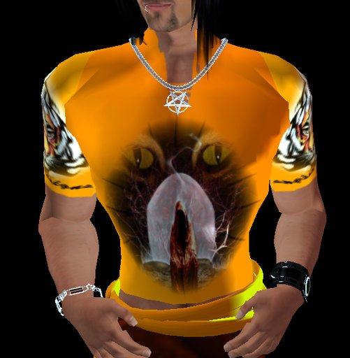T-Shirt, orange, with Tigerhead