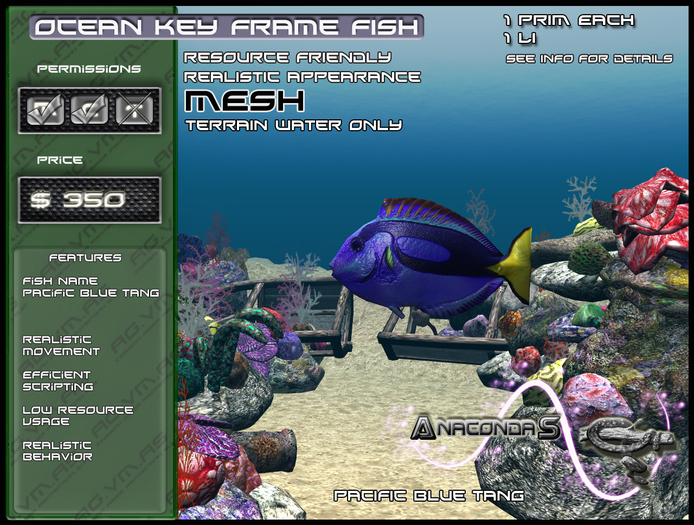 AnacondaS Ocean key frame fish Pacific blue tang