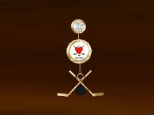 Gold and Diamond Hockey Belly Ring Photo Frame  - Touch to Change - Add Your Pictures!