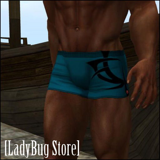 [LadyBug Store] Underwear Tribal Blue