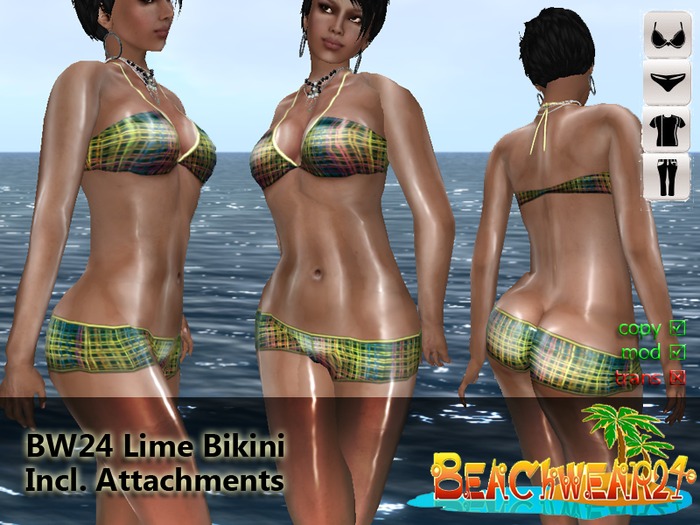 BW24 Lime Bikini