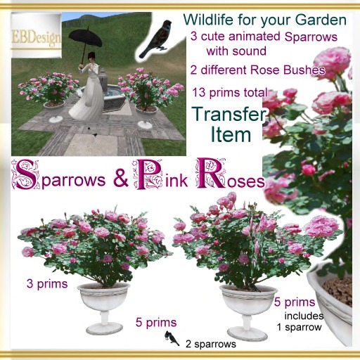 EBDesign - Sparrows & Pink Rose Bushes - transfer