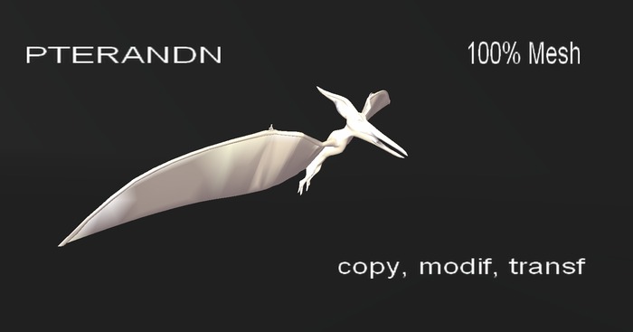 <hs> PTERANDN  100% Mesh