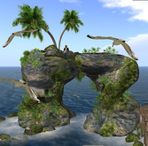 Pinhole Rock Group + many plants, rocks, poses (m/tr)