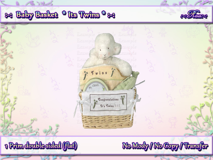 :-: Baby Basket ♥ Its Twins ♥ :-:
