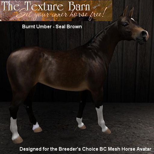 BC - Burnt Umber - Seal Brown Texture Pack