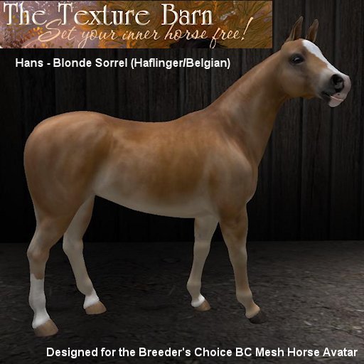 BC - Hans - Blonde Sorrel Texture Pack for BC Mesh Horses