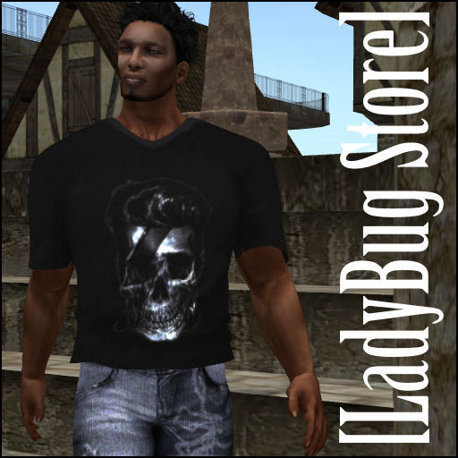 [LadyBug Store]Black Skull Hair T-shirt Mesh