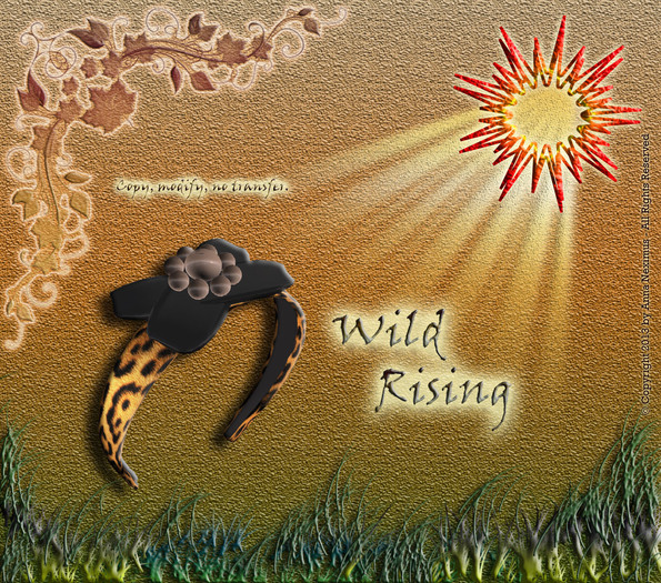 Wild Rising - Headband