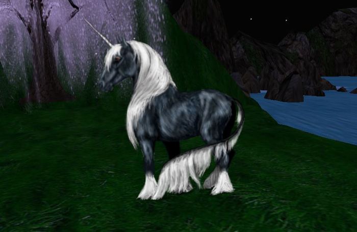 Unicorn-Black and White
