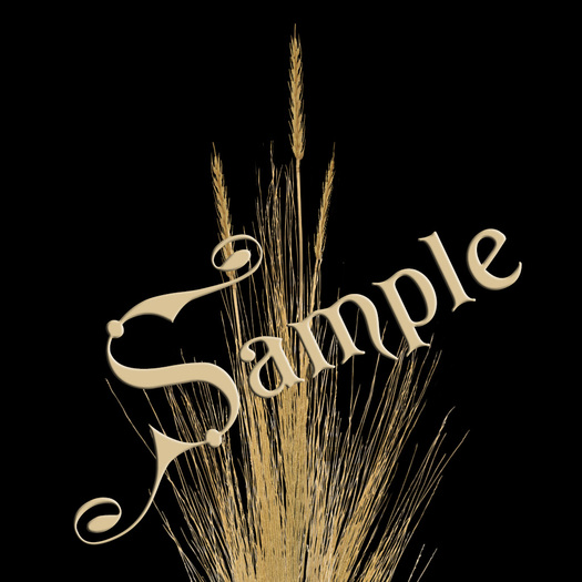 ~TTT~ Wheat & Wheat Field Textures