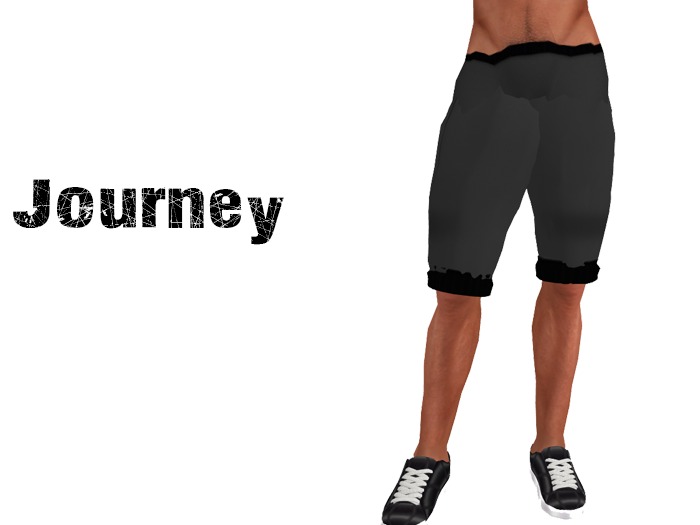 Journey :: Baggie Shorts - Grey