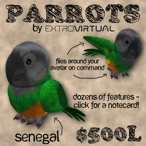 Flying Pet Parrot - Senegal