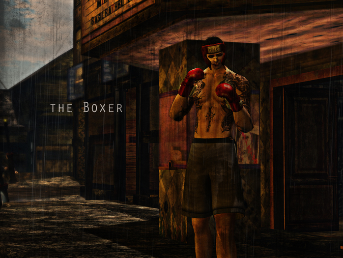 [Captivity Co.] The Boxer