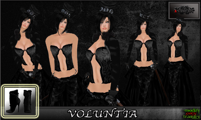 Anarchy - Voluntia