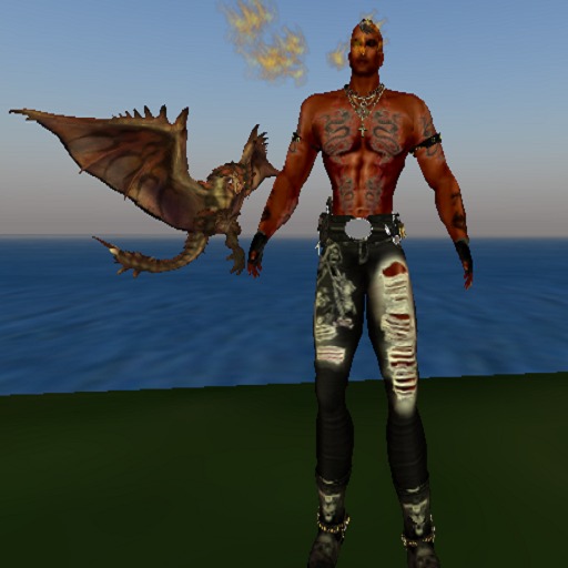 Dragon Follower Leaping