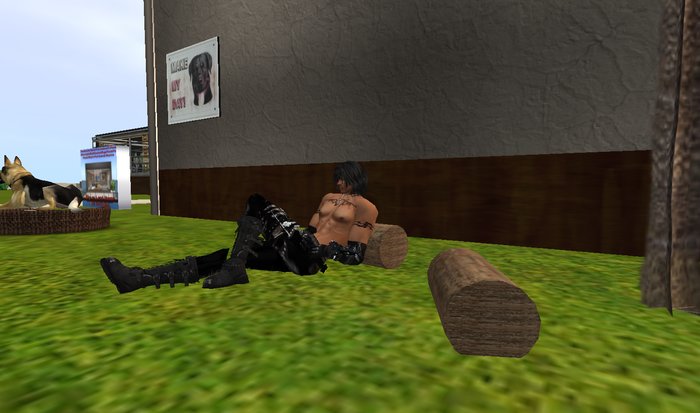 Log  2 Poses Animated (M) (F)  2 prims
