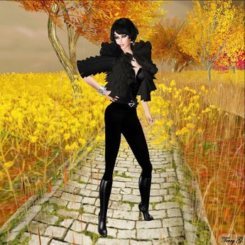 Second Life Marketplace - SAS - Veracity Feather Black (Full Outfit)