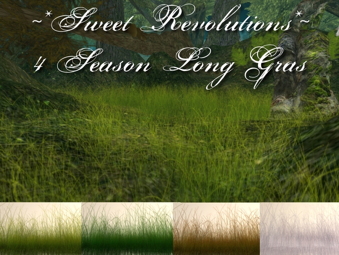 ~*SR*~ 4 Season Long Grass Box