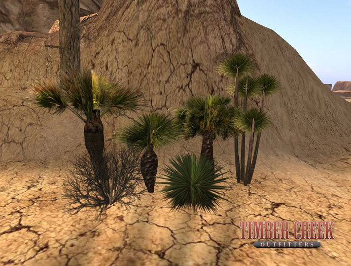 [Timber Creek] Desert Plant Set