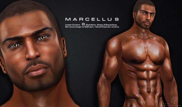 MARCELLUS AVATAR BY TELLAQ