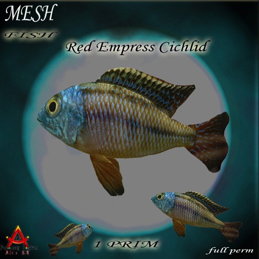 mesh fish Red Empress Cichlids
