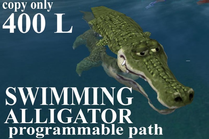 Swimming Alligator