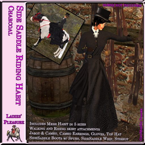 ~LP~ Victorian Riding Habit Charcoal