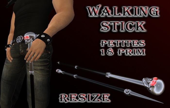 Walking stick (Petites)