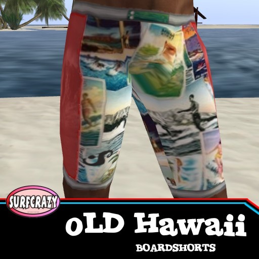 Old Hawaii Boardshorts n Tee outfit, great gift