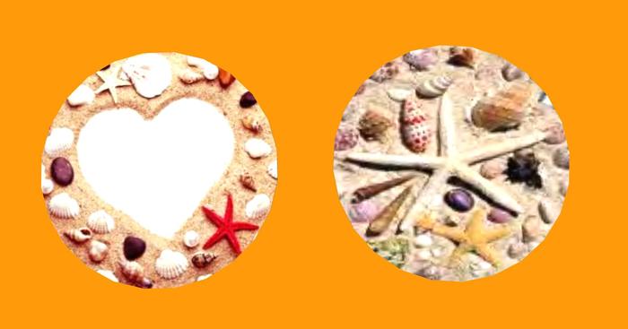 Stepping Stone 2 Pack