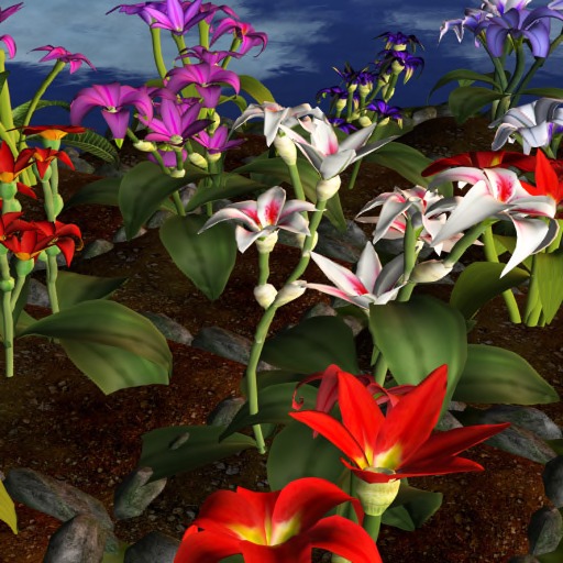 flower on rocks beds C/M