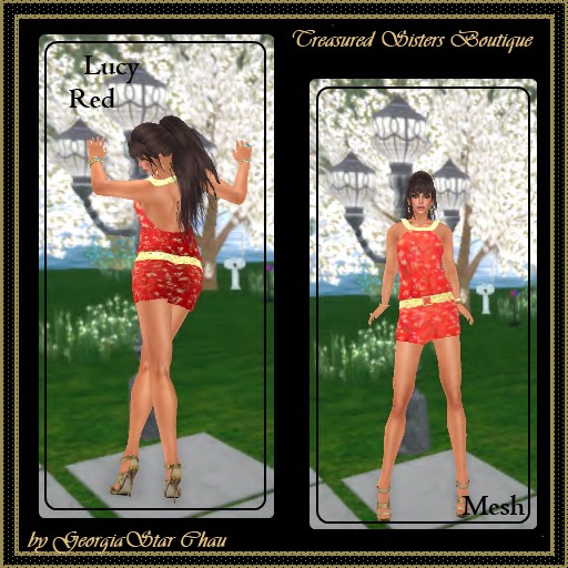 GSC Lucy Red Mesh Dress