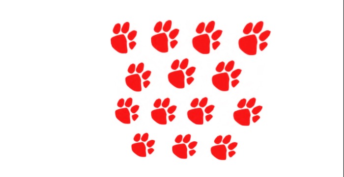 Paws texture multi full perms red