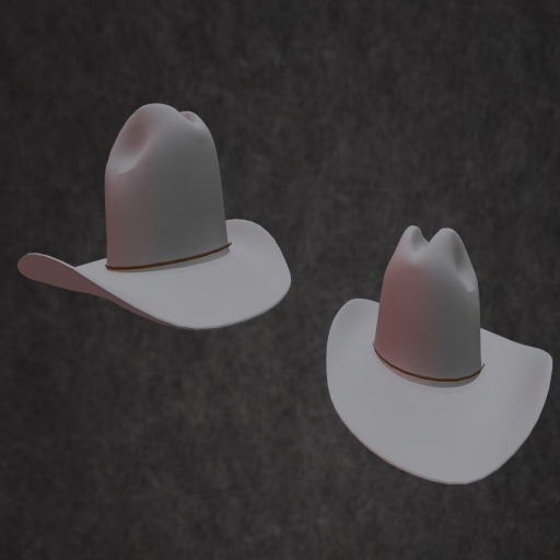  Cowboy/girl Grey hat