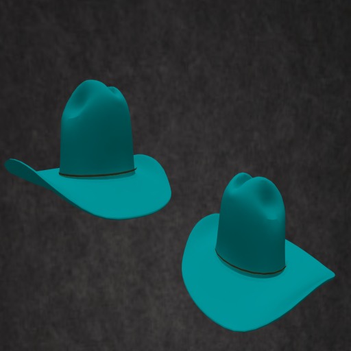 CowGirl Turquoise Basic Hat...