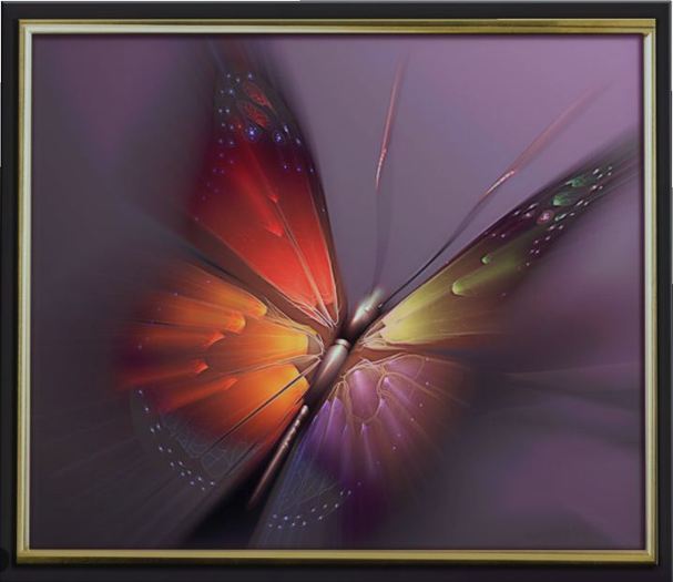Butterfly Mood Swings