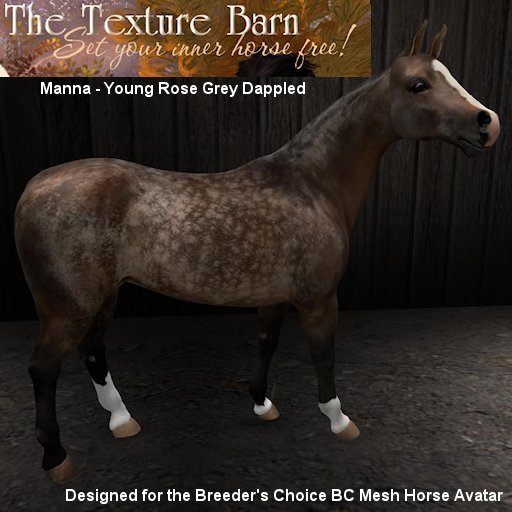 BC - Manna - Young Rose Grey Dappled Texture Pack