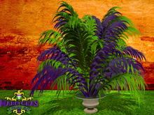 Mardi Gras Palm Plant (mod/copy)