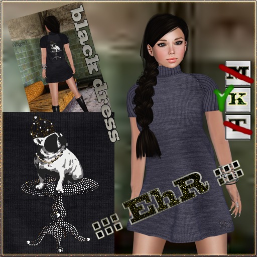 ::: EhR ::: _ Mesh_black dress