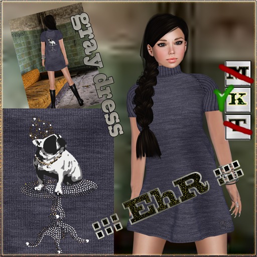 ::: EhR ::: _ Mesh_gray dress