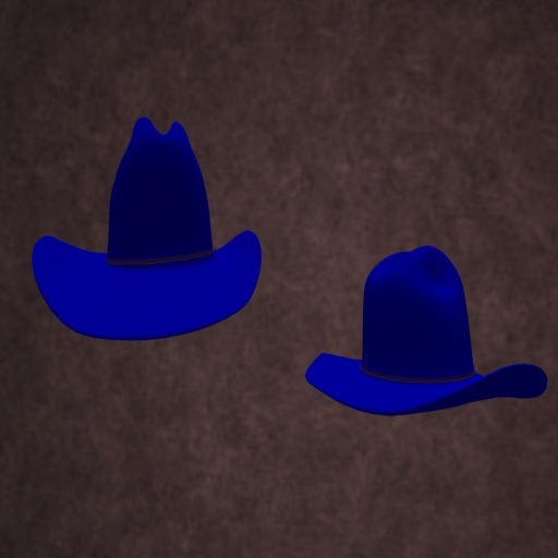 CowGirl Blue Basic Hat....