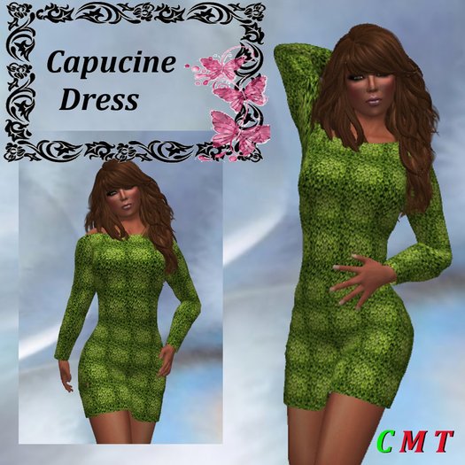 Mesh Slim Dress Capucine