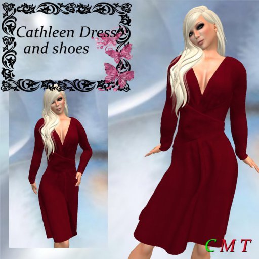 Cathleen  Rouge Mesh_KM Dress