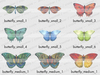 Butterfly key 1