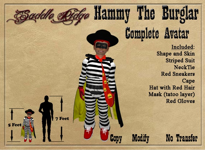 Hammy The Burglar