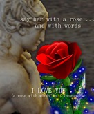 I love you rose (with text)
