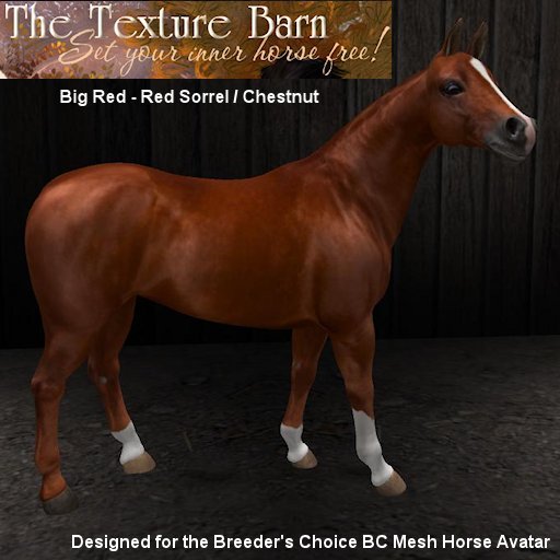 BC - Big Red - Red Sorrel  Chestnut Texture Pack