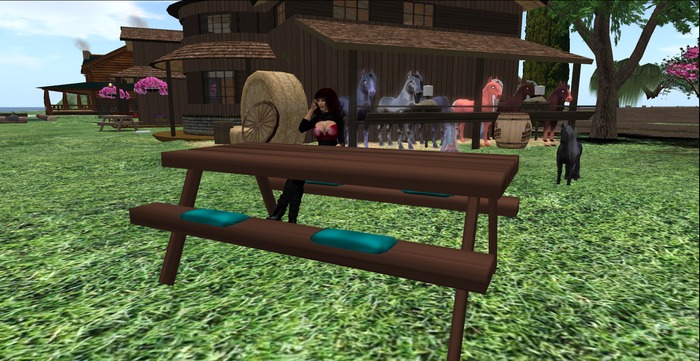 picnic table  comfortable